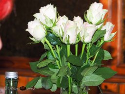 Der Dornbacher im GH Timo am 10.05.2025